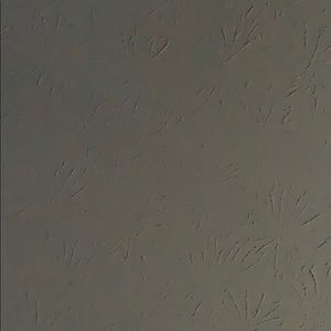 Meet your Posher, Dan